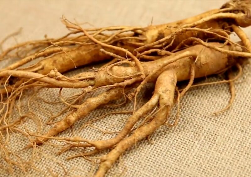 Ginseng